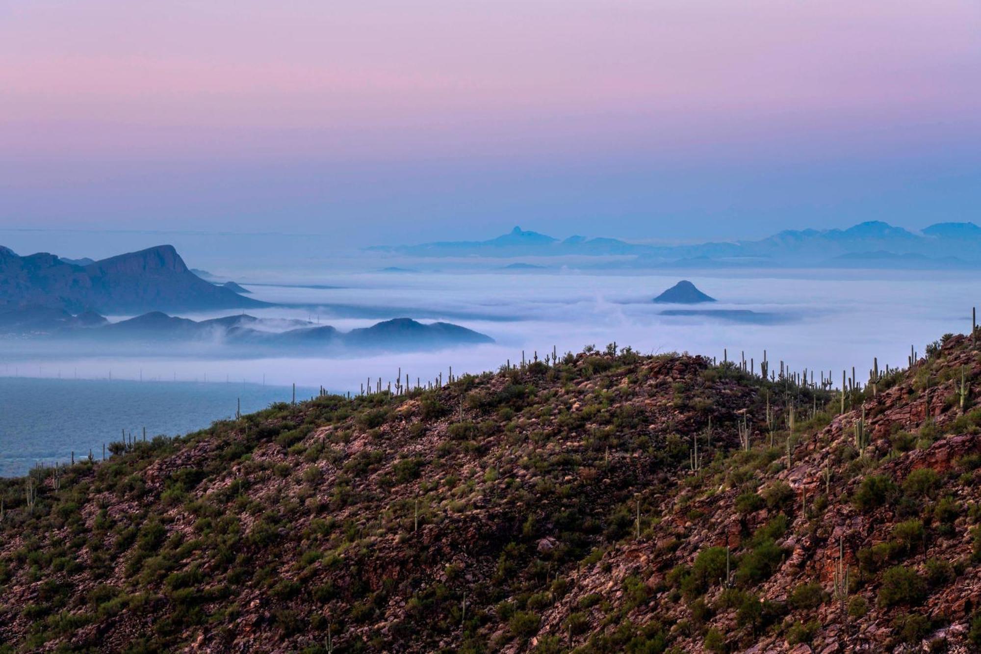 Готель The Ritz-Carlton, Dove Mountain Марана Екстер'єр фото