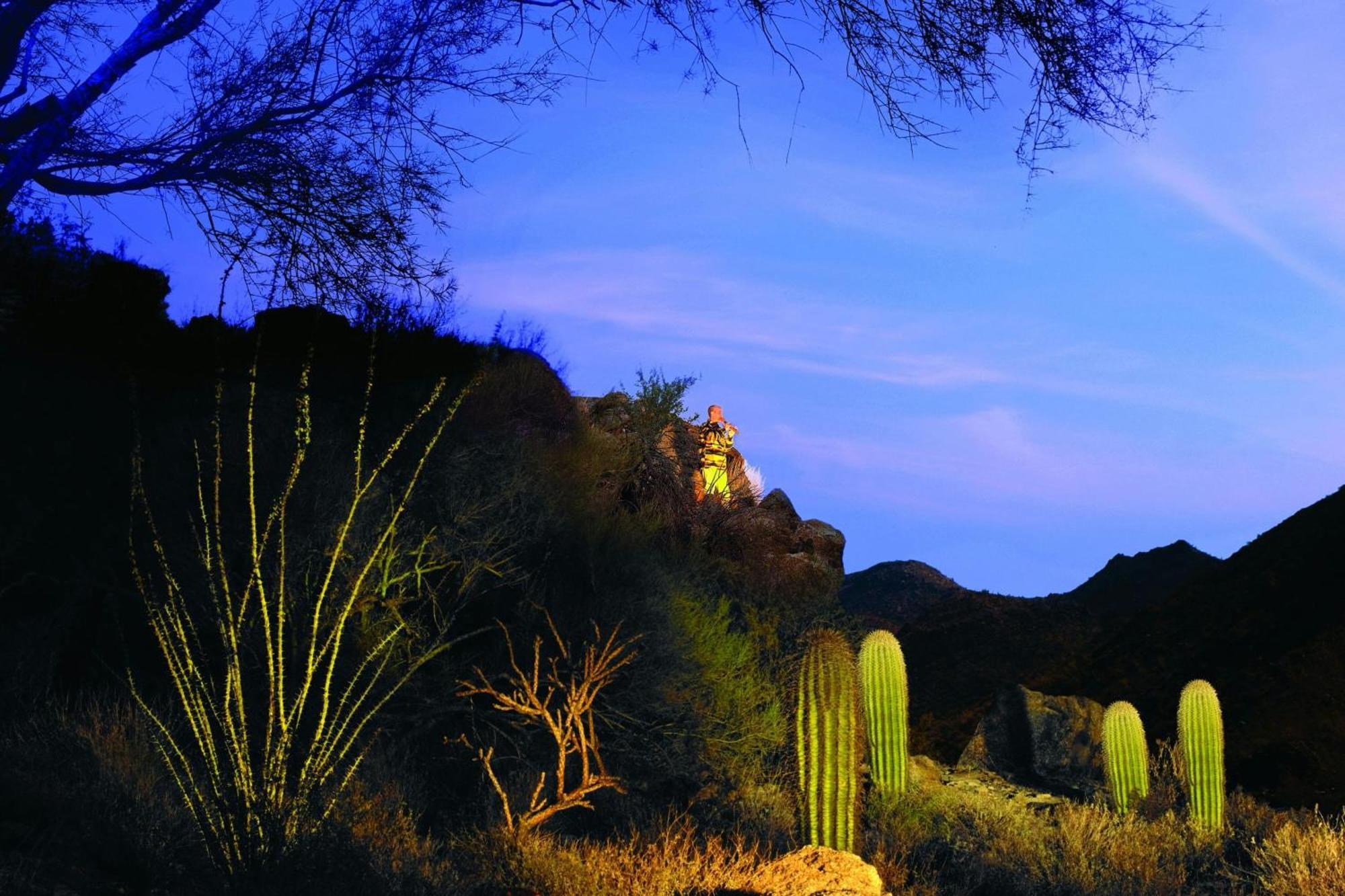 Готель The Ritz-Carlton, Dove Mountain Марана Екстер'єр фото